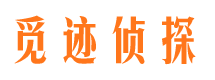 麦积区外遇调查取证